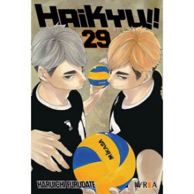 Haikyu!! 29